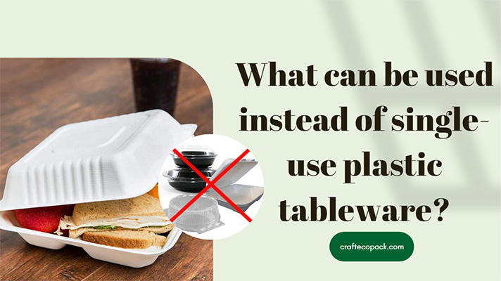 What can be used instead of single-use plastic tableware?