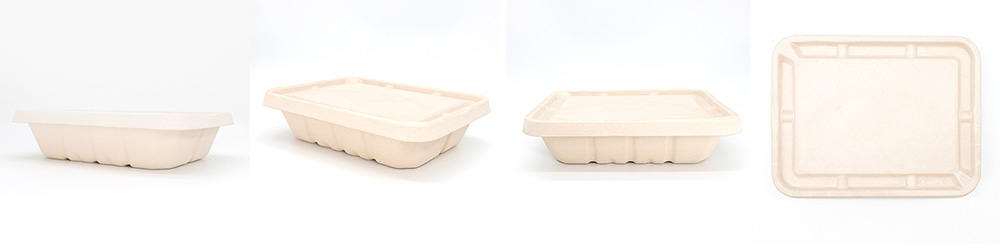 Bagasse Food Containers with Lids