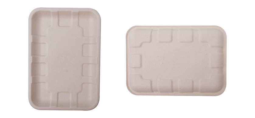 Wholesale China 8 Inch Compostable Sugarcane Bagasse Food Tray
