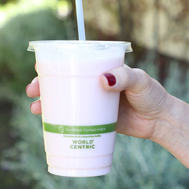The 5 Best Eco-Friendly Disposable Cups for the Environment