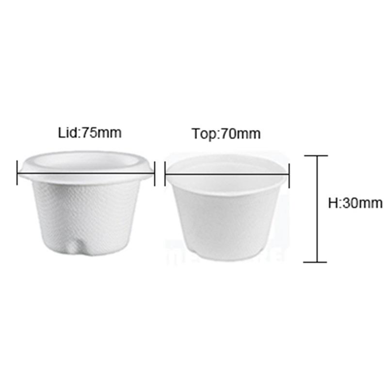 4OZ Eco Compostable Ice Cream Bagasse Cup With Lids