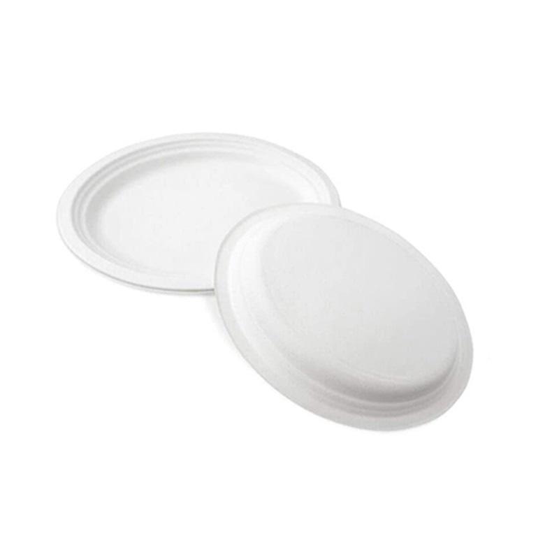 Compostable Oval Party Sugarcane Bagasse Plate