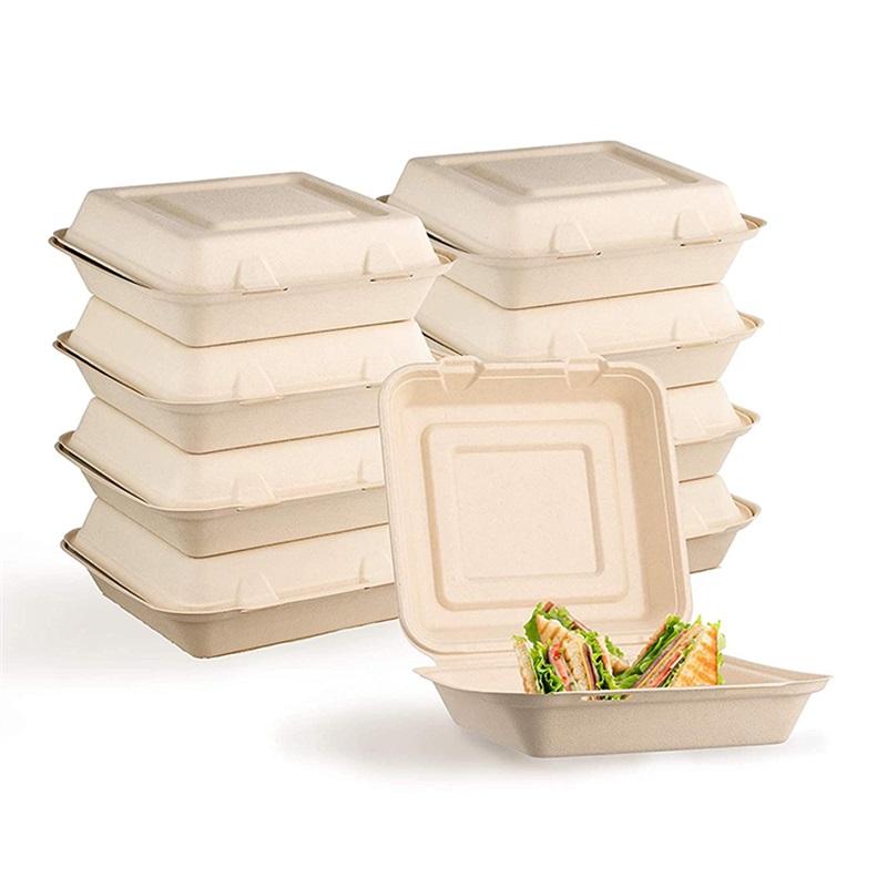 10 Inch 100% biodegradable compostable bagasse takeaway container