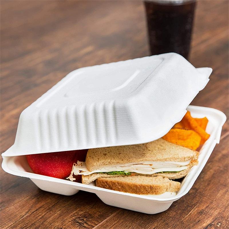 Biodegradable take out lunch box