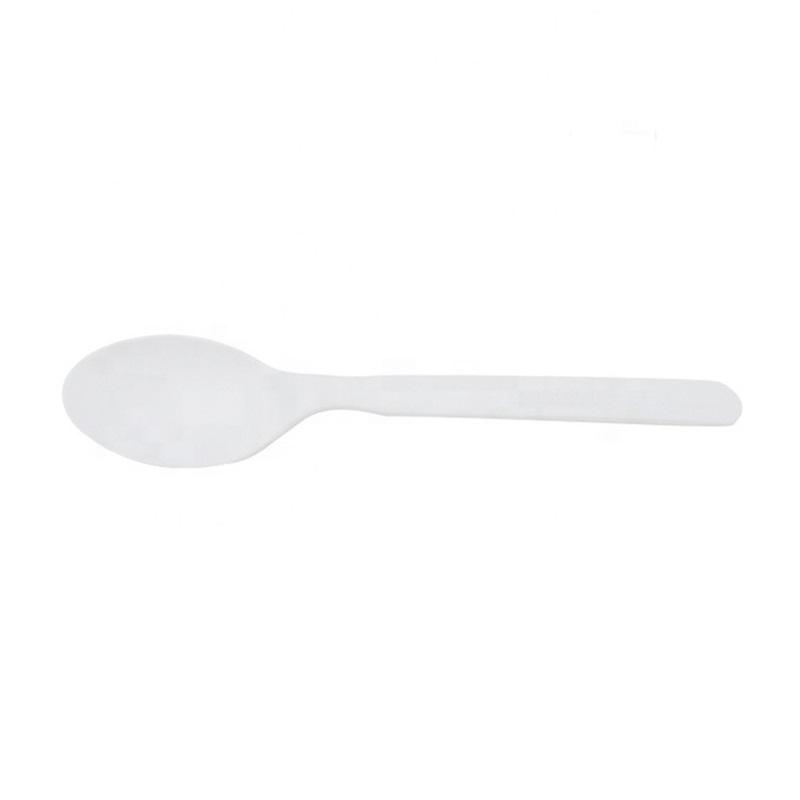5 inch Eco-friendly Compostable Ice Cream CPLA Spoon