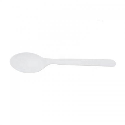 5 inch Eco-friendly Compostable Ice Cream CPLA Spoon