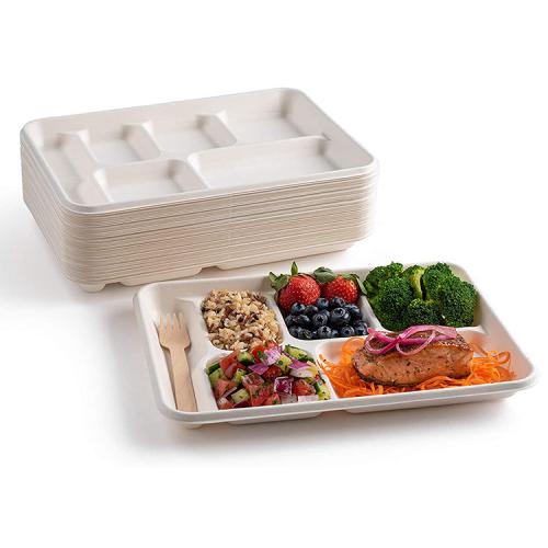 Eco-friendly Compostable 6 Compartment Bagasse School Lunch Tray