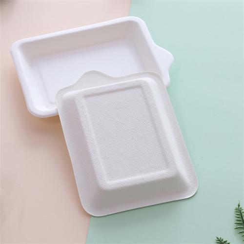 Disposable Rectangular Small Bagasse Tasting Plate