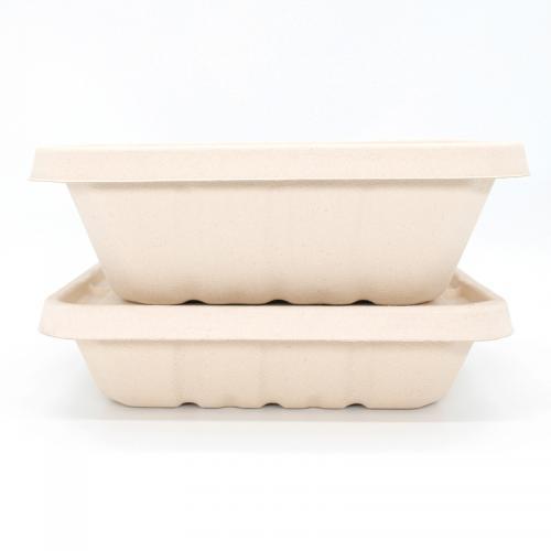 Biodegradable 1200ml 1500ml Bagasse Food Packaging Containers with Lids