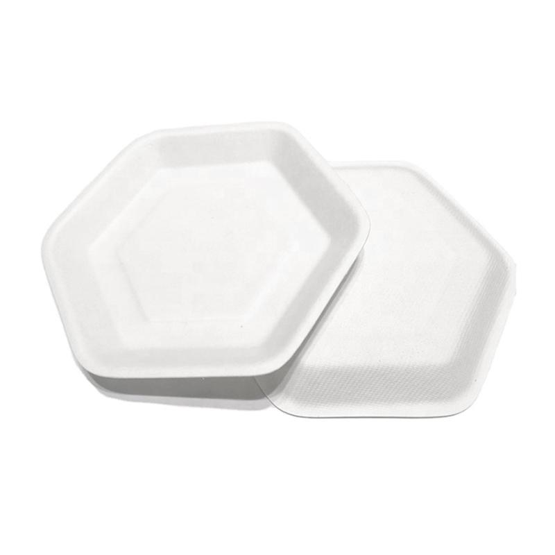 Bagasse Dishes for Cake