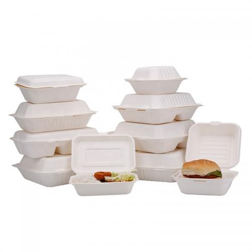 Disposable 9 Inch Bio Sugarcane Clamshell Takeaway Boxes