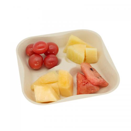 Compostable Fruits Vegetables Bagasse Pulp Square Plates