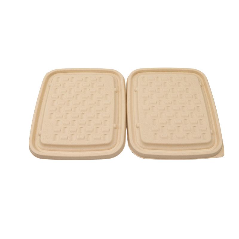 Sustainable 3 Compartments Bagasse Pulp Tray