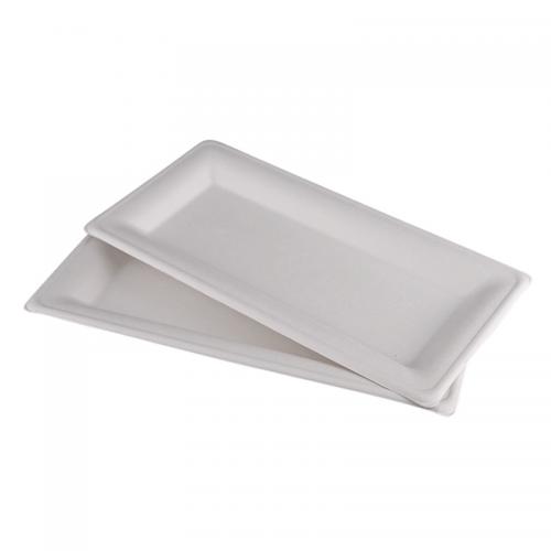 Rectangle Biodegradable 10 Inch Sugarcane Bagasse Plate for Lunch