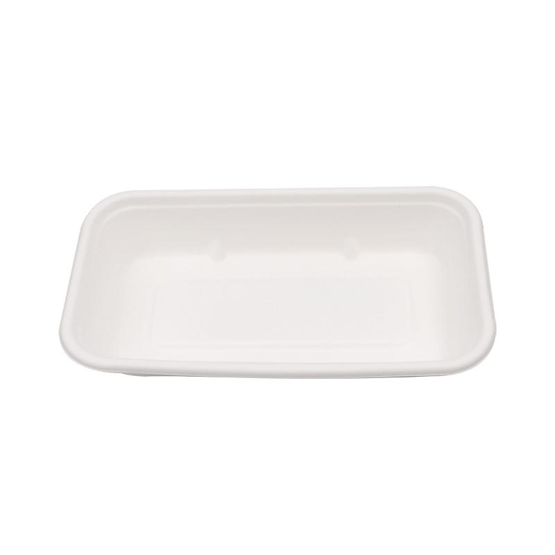 Sugarcane Bagasse Lunch Tray