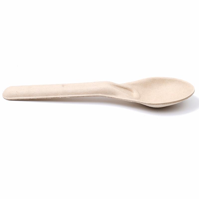 Sugarcane Bagasse Spoon