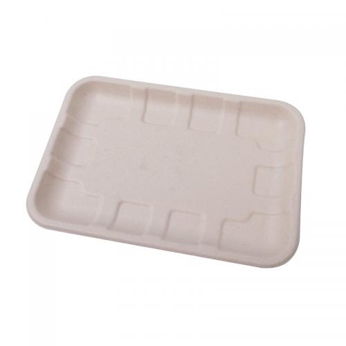 8 Inch Compostable Sugarcane Bagasse Food Tray
