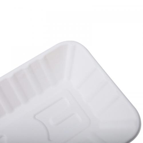 Plant Based Biodegradable Sugarcane Bagasse Lunch Tray