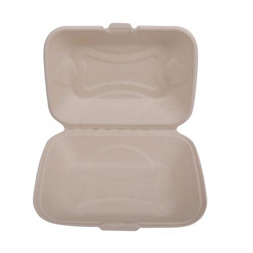 Newest Biodegradable 9x6 Bagasse Clamshell Container