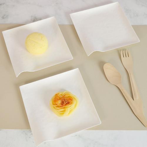 New Japanese Style Compostable Square Sugarcane Dishes