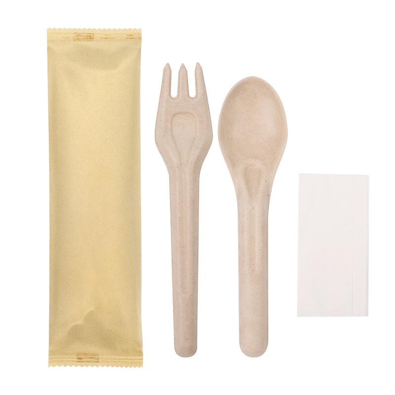 Biodegradable Sugarcane Cutlery Set