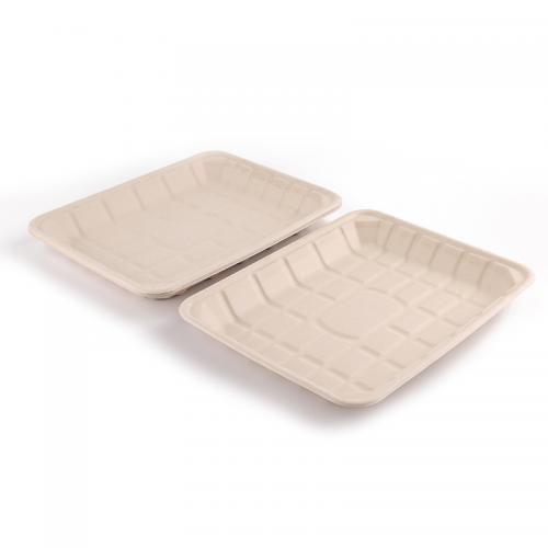 Compostable Rectangle Sugarcane Bagasse Pulp Tray
