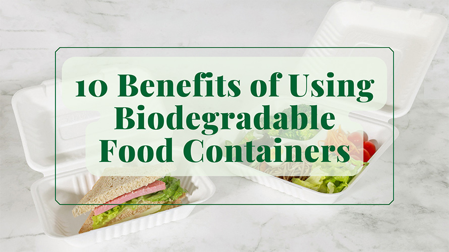 10 Benefits of Using Biodegradable Food Containers