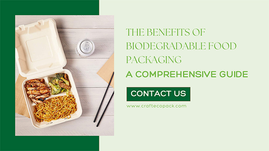 The Benefits of Biodegradable Food Packaging: A Comprehensive Guide 