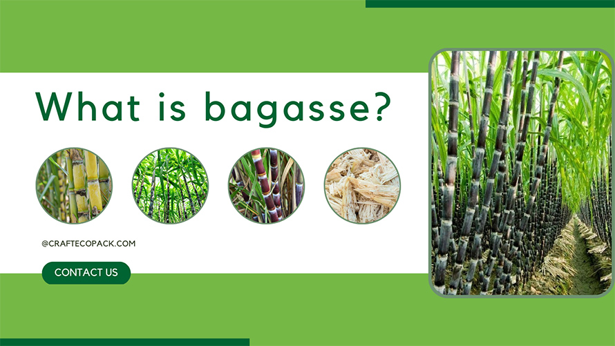 What is bagasse?