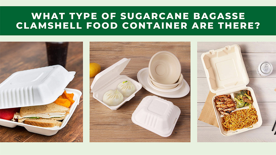 What type of sugarcane bagasse clamshell food container are there?