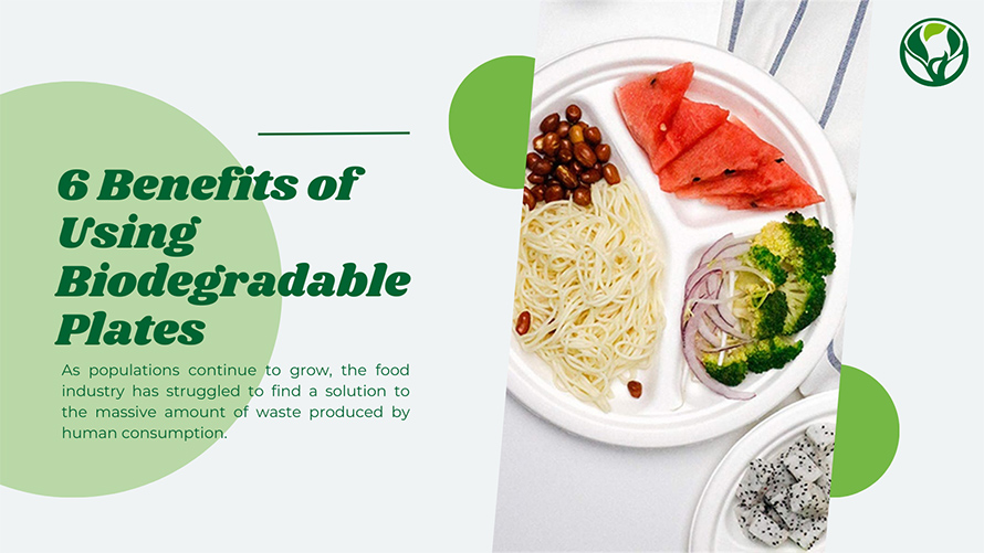 6 Benefits of Using Biodegradable Plates