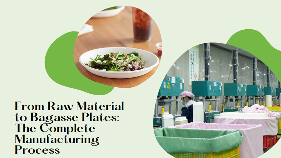 From Raw Material to Bagasse Plates: The Complete Manufacturing Process