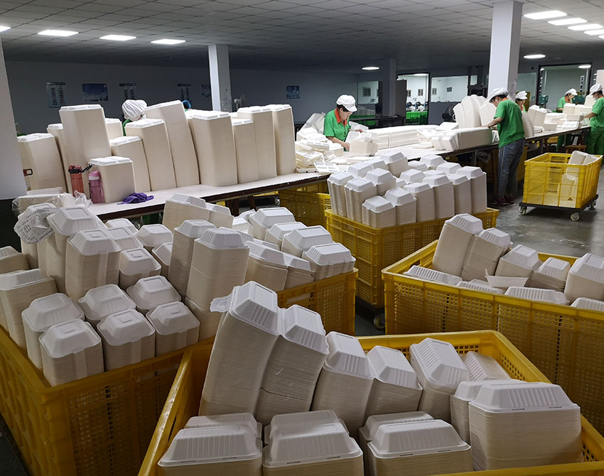 Sugarcane Clamshell Factory